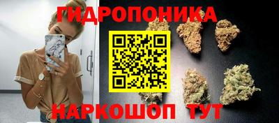 ешки Гусев