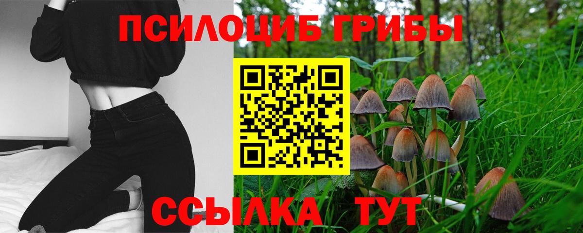 Галлюциногенные грибы Magic Shrooms Муром